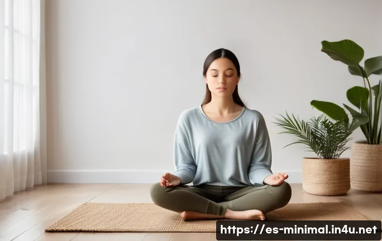 미니멀라이프 명상 관련 이미지 1